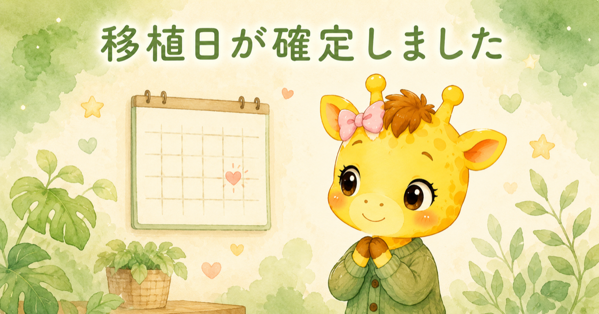 #13 移植周期スタート｜移植日が確定しました【30歳・体外受精】