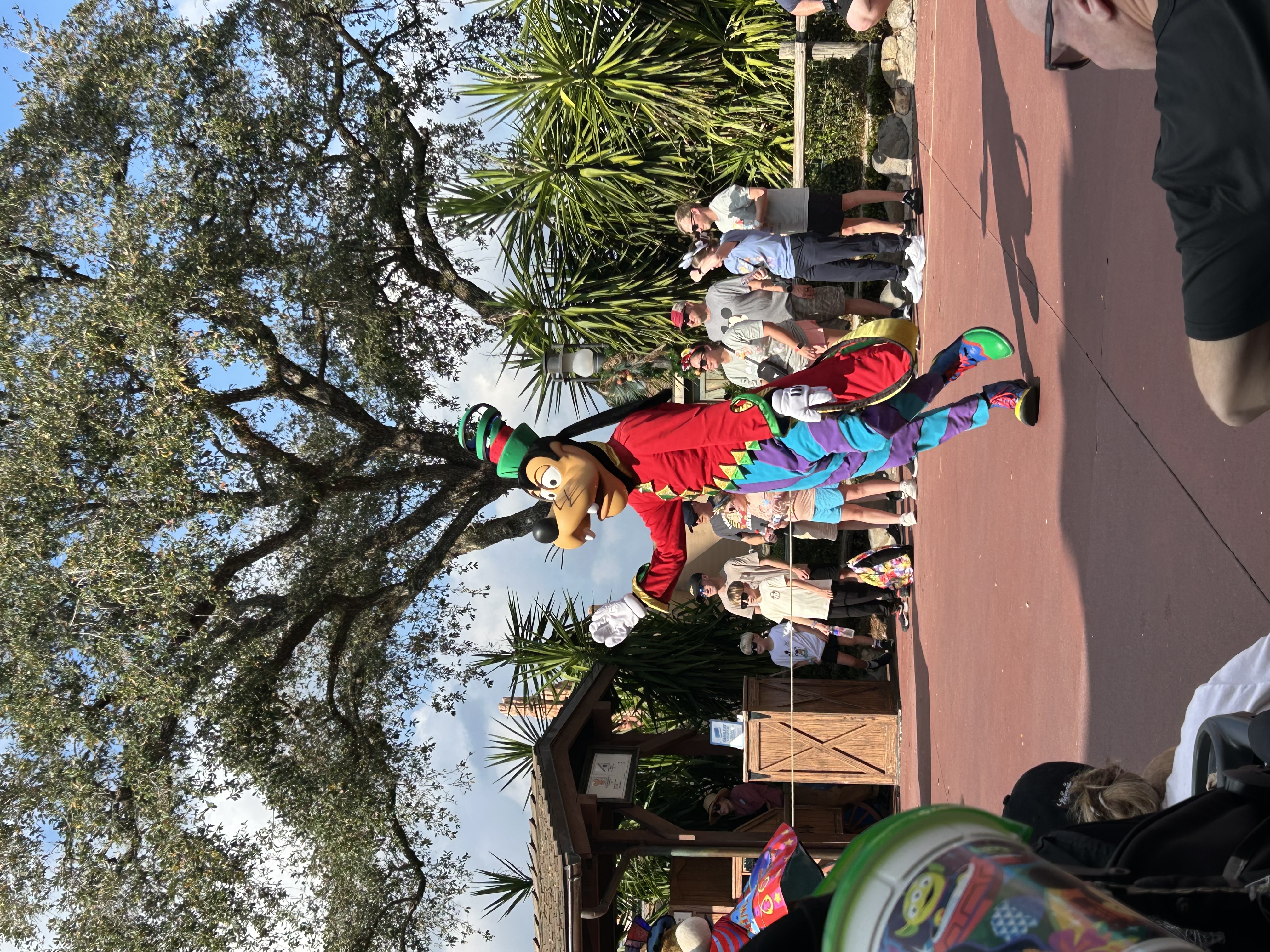 Festival of Fantasy グーフィー